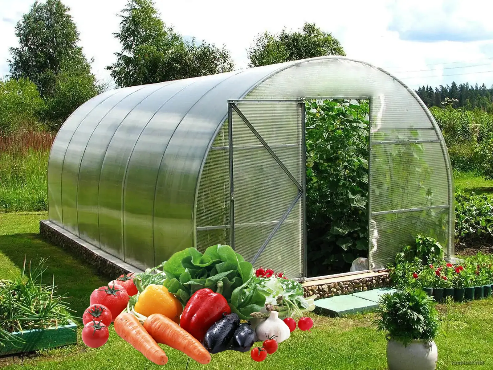 Сад и огород Теплицы